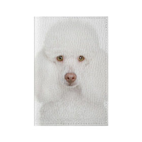 Обложка для паспорта матовая кожа с принтом Белый пудель в Белгороде, натуральная матовая кожа | размер 19,3 х 13,7 см; прозрачные пластиковые крепления | Тематика изображения на принте: белый пудель | животное | порода | собака