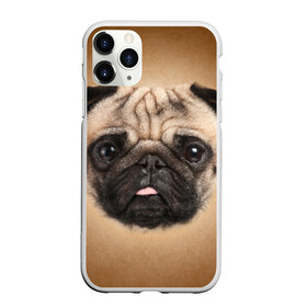 Чехол для iPhone 11 Pro матовый с принтом Мопс в Белгороде, Силикон |  | животное | мопс | порода | собака