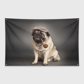 Флаг-баннер с принтом Мопс в кепке в Белгороде, 100% полиэстер | размер 67 х 109 см, плотность ткани — 95 г/м2; по краям флага есть четыре люверса для крепления | животное | мопс | порода | собака