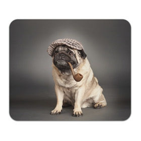 Коврик прямоугольный с принтом Мопс в кепке в Белгороде, натуральный каучук | размер 230 х 185 мм; запечатка лицевой стороны | животное | мопс | порода | собака