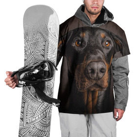 Накидка на куртку 3D с принтом Доберман в Белгороде, 100% полиэстер |  | Тематика изображения на принте: доберман | животное | порода | собака