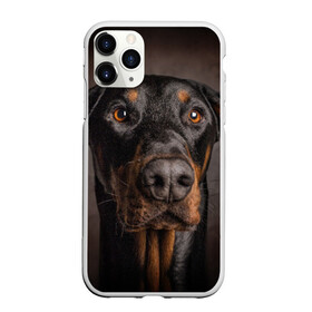 Чехол для iPhone 11 Pro матовый с принтом Доберман в Белгороде, Силикон |  | доберман | животное | порода | собака