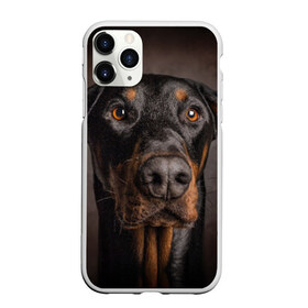 Чехол для iPhone 11 Pro Max матовый с принтом Доберман в Белгороде, Силикон |  | доберман | животное | порода | собака