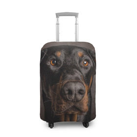 Чехол для чемодана 3D с принтом Доберман в Белгороде, 86% полиэфир, 14% спандекс | двустороннее нанесение принта, прорези для ручек и колес | доберман | животное | порода | собака