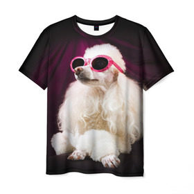 Мужская футболка 3D с принтом Пудель в очках в Белгороде, 100% полиэфир | прямой крой, круглый вырез горловины, длина до линии бедер | животное | порода | пудель в очках | собака