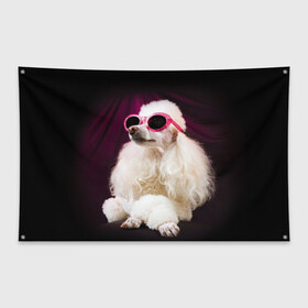 Флаг-баннер с принтом Пудель в очках в Белгороде, 100% полиэстер | размер 67 х 109 см, плотность ткани — 95 г/м2; по краям флага есть четыре люверса для крепления | животное | порода | пудель в очках | собака