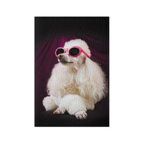 Обложка для паспорта матовая кожа с принтом Пудель в очках в Белгороде, натуральная матовая кожа | размер 19,3 х 13,7 см; прозрачные пластиковые крепления | Тематика изображения на принте: животное | порода | пудель в очках | собака