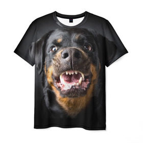 Мужская футболка 3D с принтом Ротвейлер в Белгороде, 100% полиэфир | прямой крой, круглый вырез горловины, длина до линии бедер | Тематика изображения на принте: животное | порода | ротвейлер | собака