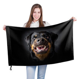 Флаг 3D с принтом Ротвейлер в Белгороде, 100% полиэстер | плотность ткани — 95 г/м2, размер — 67 х 109 см. Принт наносится с одной стороны | животное | порода | ротвейлер | собака