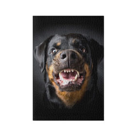 Обложка для паспорта матовая кожа с принтом Ротвейлер в Белгороде, натуральная матовая кожа | размер 19,3 х 13,7 см; прозрачные пластиковые крепления | животное | порода | ротвейлер | собака