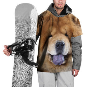 Накидка на куртку 3D с принтом Чау-чау в Белгороде, 100% полиэстер |  | Тематика изображения на принте: животное | порода | собака | чау чау