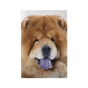Обложка для паспорта матовая кожа с принтом Чау-чау в Белгороде, натуральная матовая кожа | размер 19,3 х 13,7 см; прозрачные пластиковые крепления | Тематика изображения на принте: животное | порода | собака | чау чау