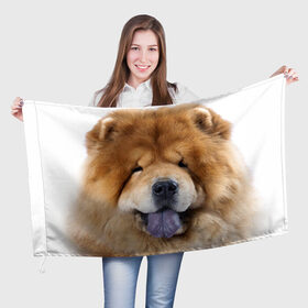 Флаг 3D с принтом Чау-чау в Белгороде, 100% полиэстер | плотность ткани — 95 г/м2, размер — 67 х 109 см. Принт наносится с одной стороны | животное | порода | собака | чау чау