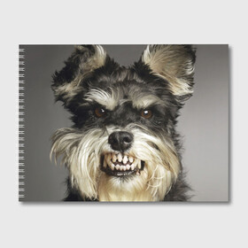 Альбом для рисования с принтом Цвергшнауцер в Белгороде, 100% бумага
 | матовая бумага, плотность 200 мг. | животное | порода | собака | цвергшнауцер