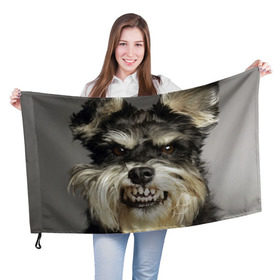 Флаг 3D с принтом Цвергшнауцер в Белгороде, 100% полиэстер | плотность ткани — 95 г/м2, размер — 67 х 109 см. Принт наносится с одной стороны | животное | порода | собака | цвергшнауцер