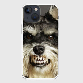 Чехол для iPhone 13 mini с принтом Цвергшнауцер в Белгороде,  |  | животное | порода | собака | цвергшнауцер