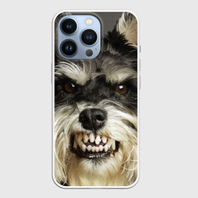 Чехол для iPhone 13 Pro с принтом Цвергшнауцер в Белгороде,  |  | животное | порода | собака | цвергшнауцер