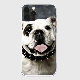 Чехол для iPhone 12 Pro Max с принтом Английский бульдог в Белгороде, Силикон |  | Тематика изображения на принте: животное | порода | собака | французский бульдог