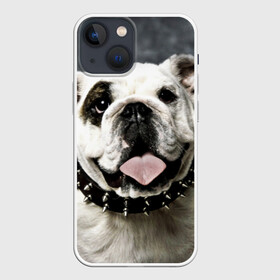 Чехол для iPhone 13 mini с принтом Английский бульдог в Белгороде,  |  | животное | порода | собака | французский бульдог
