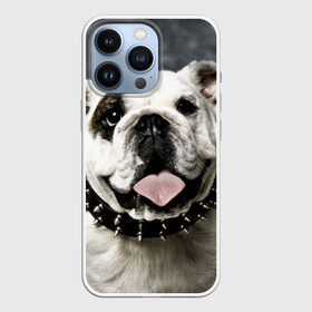 Чехол для iPhone 13 Pro с принтом Английский бульдог в Белгороде,  |  | Тематика изображения на принте: животное | порода | собака | французский бульдог