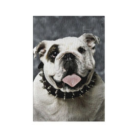 Обложка для паспорта матовая кожа с принтом Английский бульдог в Белгороде, натуральная матовая кожа | размер 19,3 х 13,7 см; прозрачные пластиковые крепления | Тематика изображения на принте: животное | порода | собака | французский бульдог