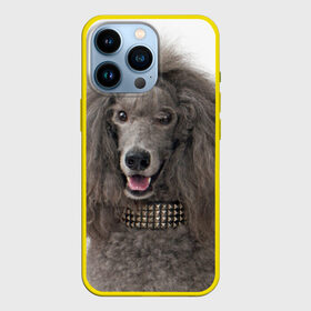 Чехол для iPhone 13 Pro с принтом Пудель в Белгороде,  |  | животное | порода | пудель | собака
