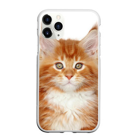 Чехол для iPhone 11 Pro матовый с принтом Рыжий котенок в Белгороде, Силикон |  | животное | порода | рыжий котенок