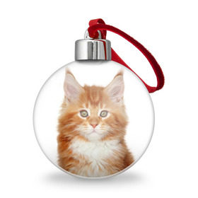Ёлочный шар с принтом Рыжий котенок в Белгороде, Пластик | Диаметр: 77 мм | животное | порода | рыжий котенок