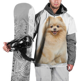 Накидка на куртку 3D с принтом Кеесхонд в Белгороде, 100% полиэстер |  | Тематика изображения на принте: животное | кеесхонд | порода | собака