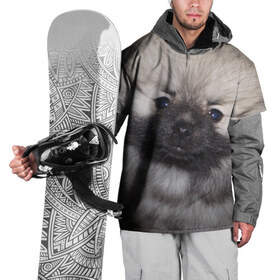 Накидка на куртку 3D с принтом Кеесхонд в Белгороде, 100% полиэстер |  | животное | кеесхонд | порода | собака