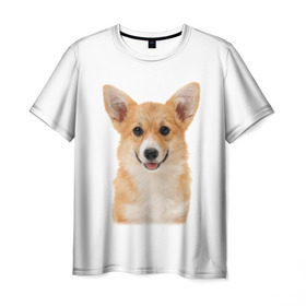 Мужская футболка 3D с принтом Пемброк-вельш-корги в Белгороде, 100% полиэфир | прямой крой, круглый вырез горловины, длина до линии бедер | Тематика изображения на принте: животное | пемброк вельш корги | порода | собака