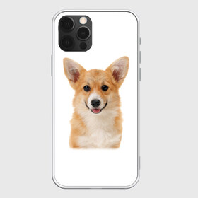 Чехол для iPhone 12 Pro Max с принтом Пемброк-вельш-корги в Белгороде, Силикон |  | Тематика изображения на принте: животное | пемброк вельш корги | порода | собака