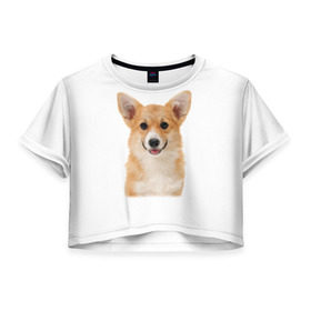 Женская футболка 3D укороченная с принтом Пемброк-вельш-корги в Белгороде, 100% полиэстер | круглая горловина, длина футболки до линии талии, рукава с отворотами | животное | пемброк вельш корги | порода | собака