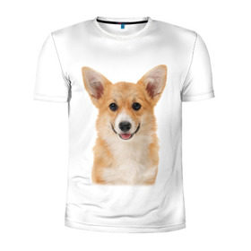 Мужская футболка 3D спортивная с принтом Пемброк-вельш-корги в Белгороде, 100% полиэстер с улучшенными характеристиками | приталенный силуэт, круглая горловина, широкие плечи, сужается к линии бедра | Тематика изображения на принте: животное | пемброк вельш корги | порода | собака