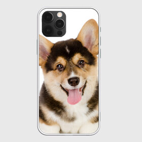 Чехол для iPhone 12 Pro Max с принтом Пемброк-вельш-корги в Белгороде, Силикон |  | Тематика изображения на принте: животное | пемброк вельш корги | порода | собака