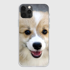 Чехол для iPhone 12 Pro Max с принтом Пемброк-вельш-корги собака п в Белгороде, Силикон |  | Тематика изображения на принте: животное | пемброк вельш корги | порода | собака