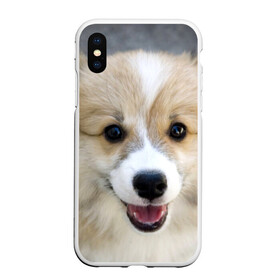 Чехол для iPhone XS Max матовый с принтом Пемброк-вельш-корги собака п в Белгороде, Силикон | Область печати: задняя сторона чехла, без боковых панелей | животное | пемброк вельш корги | порода | собака