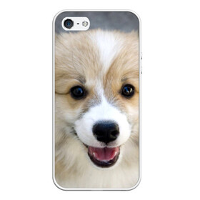 Чехол для iPhone 5/5S матовый с принтом Пемброк-вельш-корги собака п в Белгороде, Силикон | Область печати: задняя сторона чехла, без боковых панелей | животное | пемброк вельш корги | порода | собака