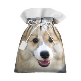 Подарочный 3D мешок с принтом Пемброк-вельш-корги, собака, п в Белгороде, 100% полиэстер | Размер: 29*39 см | животное | пемброк вельш корги | порода | собака