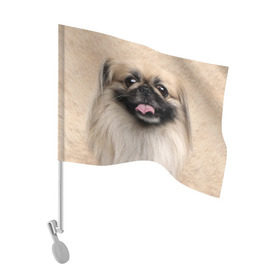 Флаг для автомобиля с принтом Пекинес в Белгороде, 100% полиэстер | Размер: 30*21 см | животное | пекинес | порода | собака