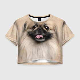 Женская футболка 3D укороченная с принтом Пекинес в Белгороде, 100% полиэстер | круглая горловина, длина футболки до линии талии, рукава с отворотами | животное | пекинес | порода | собака