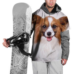 Накидка на куртку 3D с принтом Папийон в Белгороде, 100% полиэстер |  | Тематика изображения на принте: животное | папийон | порода | собака