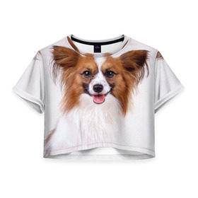 Женская футболка 3D укороченная с принтом Папийон в Белгороде, 100% полиэстер | круглая горловина, длина футболки до линии талии, рукава с отворотами | Тематика изображения на принте: животное | папийон | порода | собака