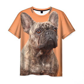 Мужская футболка 3D с принтом Французский бульдог в Белгороде, 100% полиэфир | прямой крой, круглый вырез горловины, длина до линии бедер | животное | порода | собака | французский бульдог