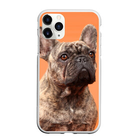 Чехол для iPhone 11 Pro матовый с принтом Французский бульдог в Белгороде, Силикон |  | животное | порода | собака | французский бульдог