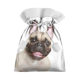 Подарочный 3D мешок с принтом Французский бульдог в Белгороде, 100% полиэстер | Размер: 29*39 см | животное | порода | собака | французский бульдог