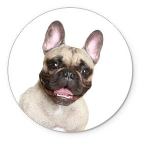 Коврик круглый с принтом Французский бульдог в Белгороде, резина и полиэстер | круглая форма, изображение наносится на всю лицевую часть | животное | порода | собака | французский бульдог