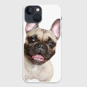 Чехол для iPhone 13 mini с принтом Французский бульдог в Белгороде,  |  | животное | порода | собака | французский бульдог