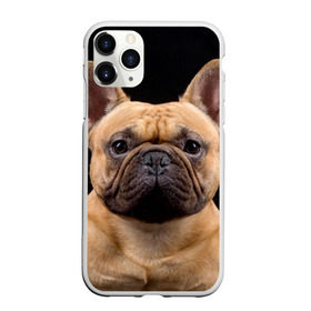 Чехол для iPhone 11 Pro матовый с принтом Французский бульдог в Белгороде, Силикон |  | животное | порода | собака | французский бульдог