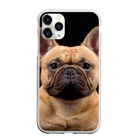 Чехол для iPhone 11 Pro Max матовый с принтом Французский бульдог в Белгороде, Силикон |  | Тематика изображения на принте: животное | порода | собака | французский бульдог